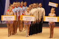 © ВФЭГ (RFAG)
