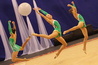 © ВФЭГ (RFAG)