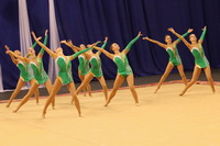 © ВФЭГ (RFAG)