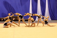 © ВФЭГ (RFAG)