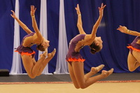 © ВФЭГ (RFAG)