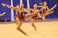 © ВФЭГ (RFAG)