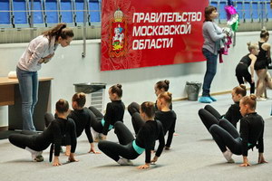 © ВФЭГ (RFAG)