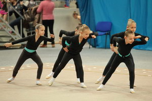 © ВФЭГ (RFAG)