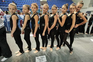 © ВФЭГ (RFAG)