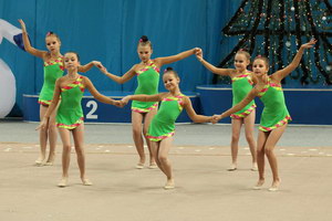 © ВФЭГ (RFAG)