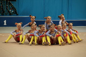 © ВФЭГ (RFAG)