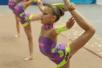 © ВФЭГ (RFAG)