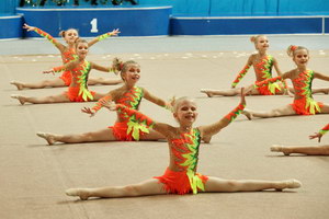 © ВФЭГ (RFAG)