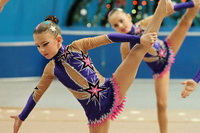 © ВФЭГ (RFAG)