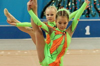 © ВФЭГ (RFAG)