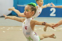 © ВФЭГ (RFAG)