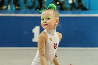 © ВФЭГ (RFAG)