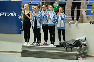 © ВФЭГ (RFAG)