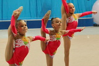 © ВФЭГ (RFAG)