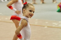 © ВФЭГ (RFAG)