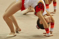 © ВФЭГ (RFAG)