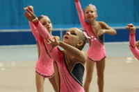 © ВФЭГ (RFAG)