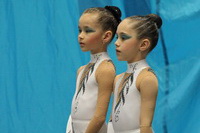 © ВФЭГ (RFAG)