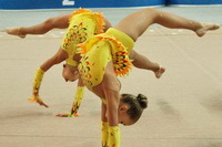 © ВФЭГ (RFAG)