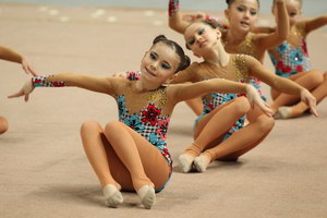 © ВФЭГ (RFAG)