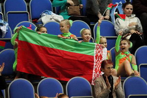 © ВФЭГ (RFAG)