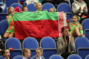© ВФЭГ (RFAG)
