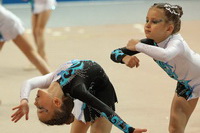 © ВФЭГ (RFAG)
