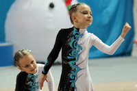 © ВФЭГ (RFAG)
