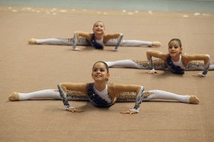 © ВФЭГ (RFAG)