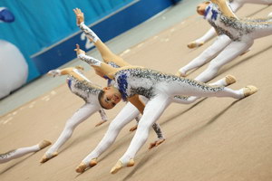 © ВФЭГ (RFAG)