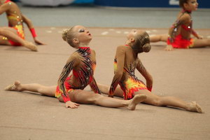 © ВФЭГ (RFAG)