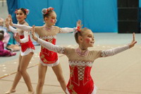 © ВФЭГ (RFAG)