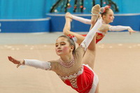 © ВФЭГ (RFAG)