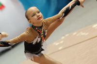 © ВФЭГ (RFAG)
