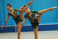© ВФЭГ (RFAG)