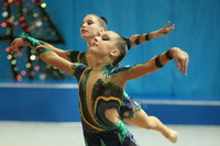 © ВФЭГ (RFAG)