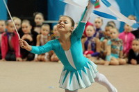 © ВФЭГ (RFAG)