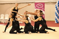 © ВФЭГ (RFAG)
