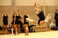 © ВФЭГ (RFAG)