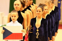 © ВФЭГ (RFAG)