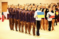 © ВФЭГ (RFAG)