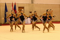 © ВФЭГ (RFAG)