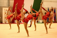 © ВФЭГ (RFAG)