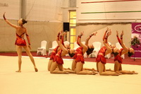 © ВФЭГ (RFAG)