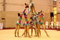 © ВФЭГ (RFAG)