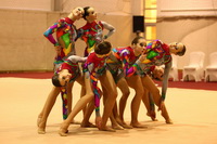 © ВФЭГ (RFAG)