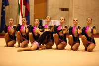 © ВФЭГ (RFAG)