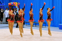 © ВФЭГ (RFAG)