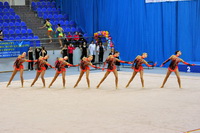 © ВФЭГ (RFAG)